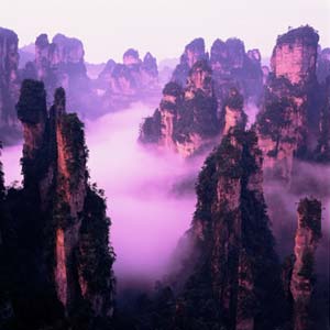 ���㏈�ҽ��(gu��)��ɭ�ֹ��@���������