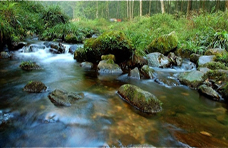 ���Ϫ���c