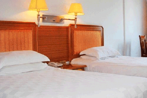 �P����ɽ���ǘ��e�^�p���g