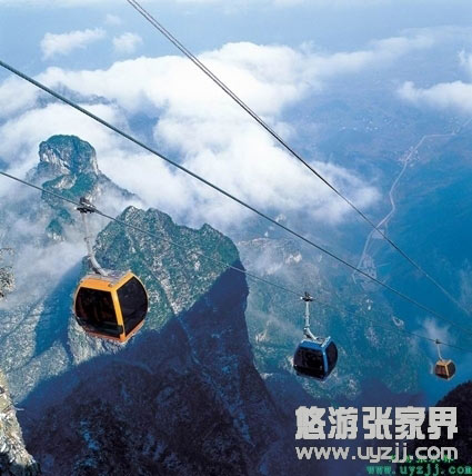  A5�����ҽ��(gu��)��ɭ�ֹ��@���S���������T(m��n)ɽ��������������