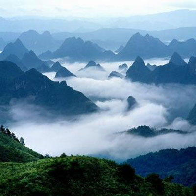  A1�����ҽ����ɭ�ֹ��@���A������