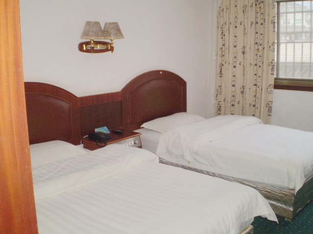 ���ҽ�����Ƶ��p�˷�