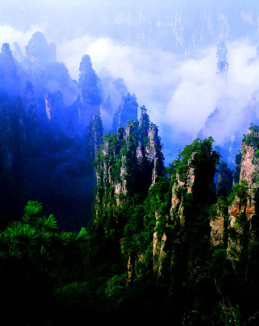 ����ɽ�������^