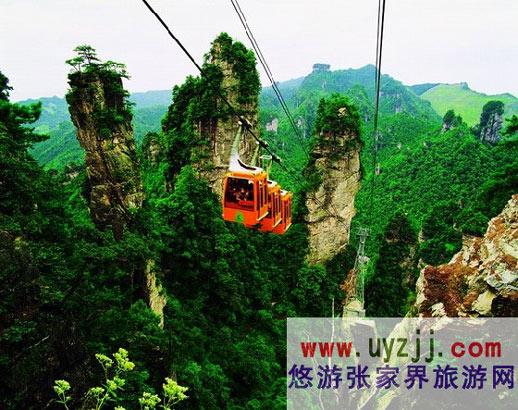 �Sʯկ����