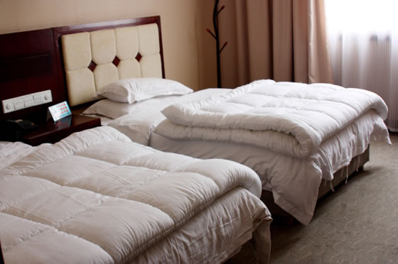 ���ҽ�����Ƶ�