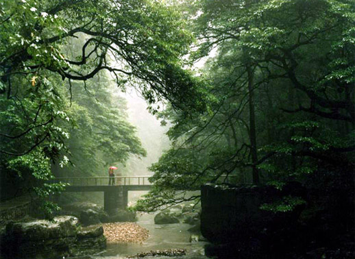 ɭ�ֹ��@���Ϫ�L(f��ng)��