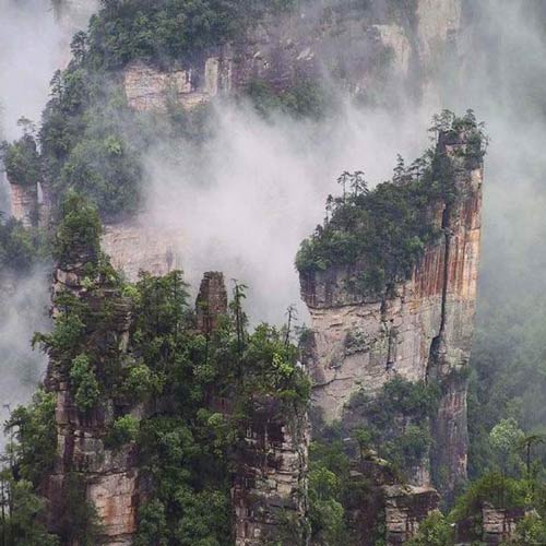 ���ҽ��(gu��)��ɭ�ֹ��@���{܇������