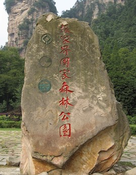  D6�����ҽ��(gu��)��ɭ�ֹ��@���P�˹ųǡ�������������������