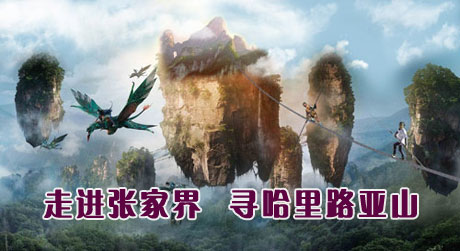  C5�����ҽ���Ԭ�ҽ�����ҽ硢����ɽ�������ռ���������