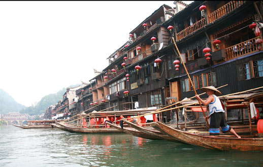  D7�����ҽ��(gu��)��ɭ�ֹ��@���S����/��������P�˹ų�����������������