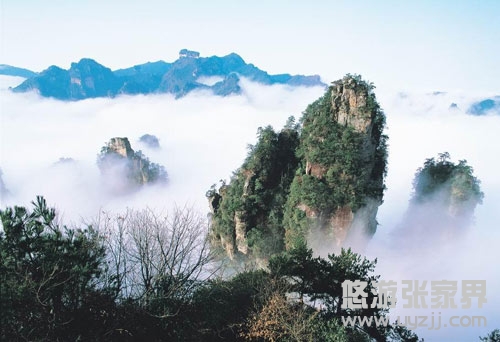  H5���ؑc���l(f��)���P�˹ų��������������ҽ���Ԭ�ҽ硢����ɽ��܇����������