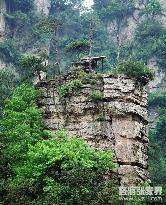 ���(sh��)��ϻ