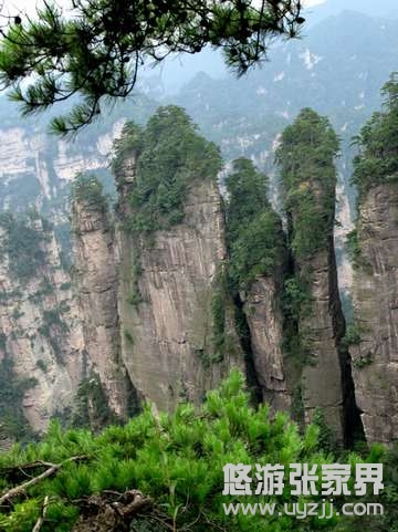 �������w