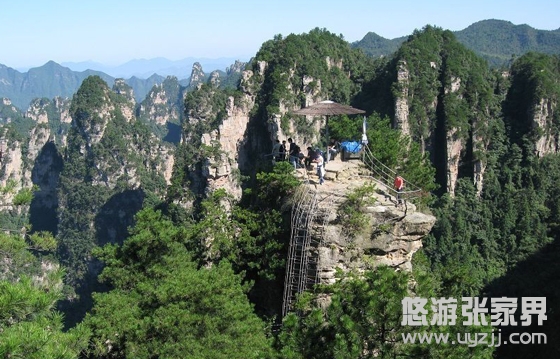 ժ���_(t��i)