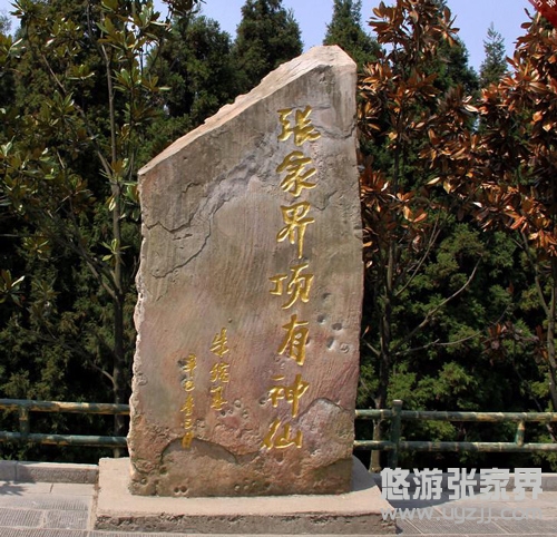 ɭ�ֹ��@���ҽ��������