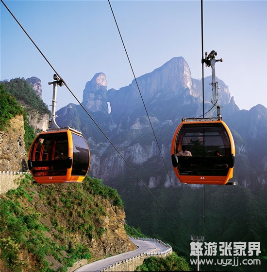 �������������L(zh��ng)�������Tɽ��������������