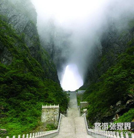 �����T����������