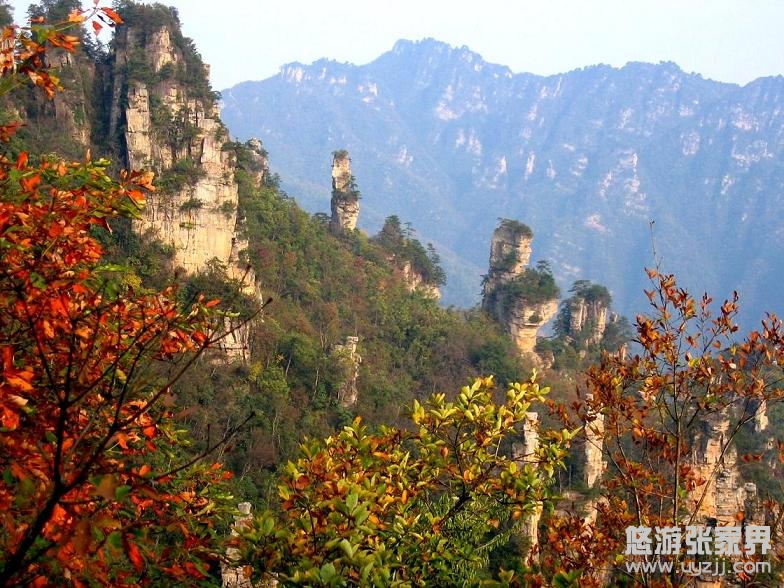 ���ҽ�����t�~�Mɽ