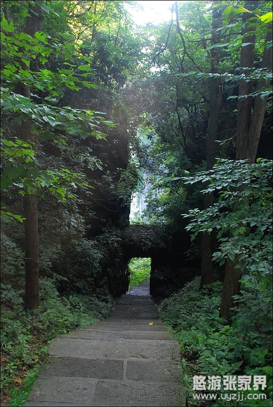 ���ҽ������_(k��i)�ҕҰ