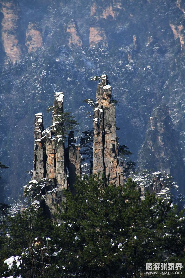 ���ҽ綬������ɽѩ��