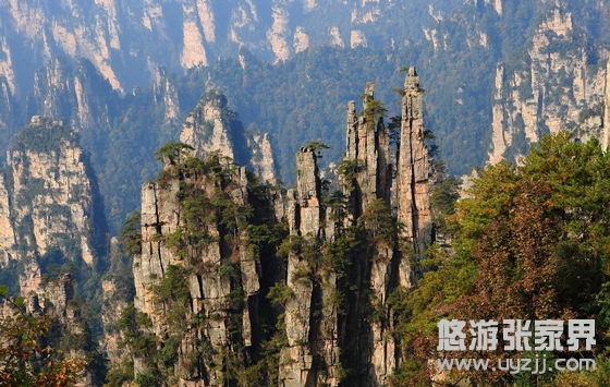 ���ҽ����ɭ�ֹ��@�TƱ248Ԫÿ��