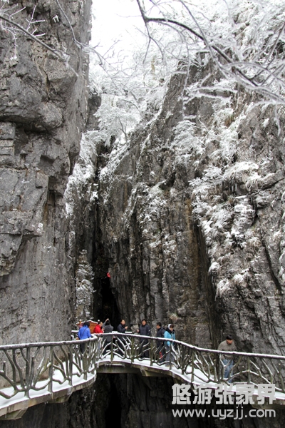 ���ȗ��������ڹ��ȶ��ς�(c��)���ͱ��ؾ��f�̑������g