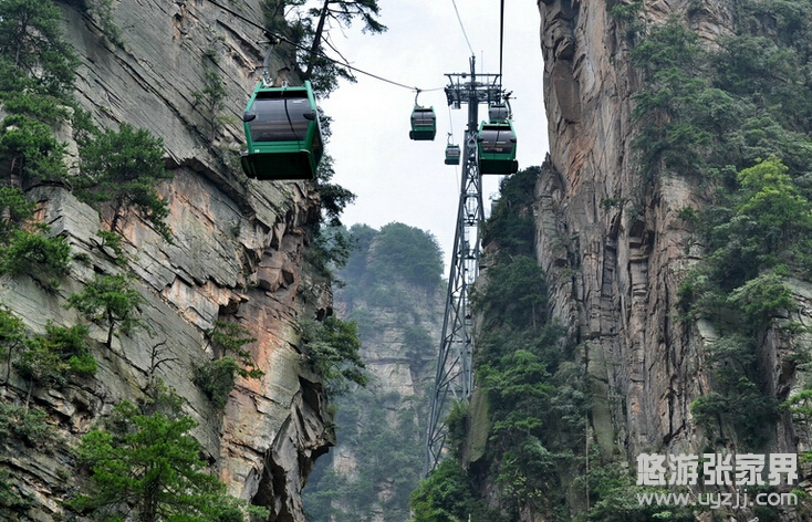 �������ҽ�