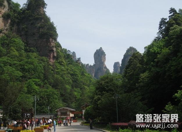 ���ҽ����ɭ�ֹ��@�M�@�M��